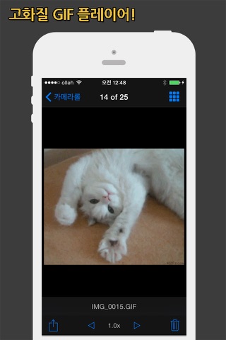 GIF Show Pro - GIF Viewer and Album screenshot 2