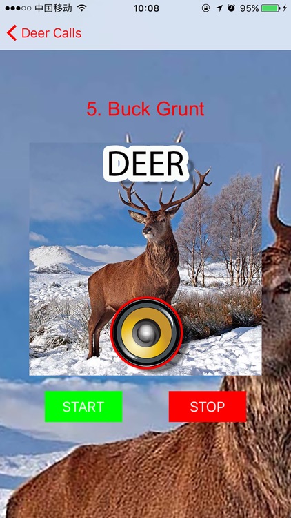 Real Deer Hunting Calls & Sounds
