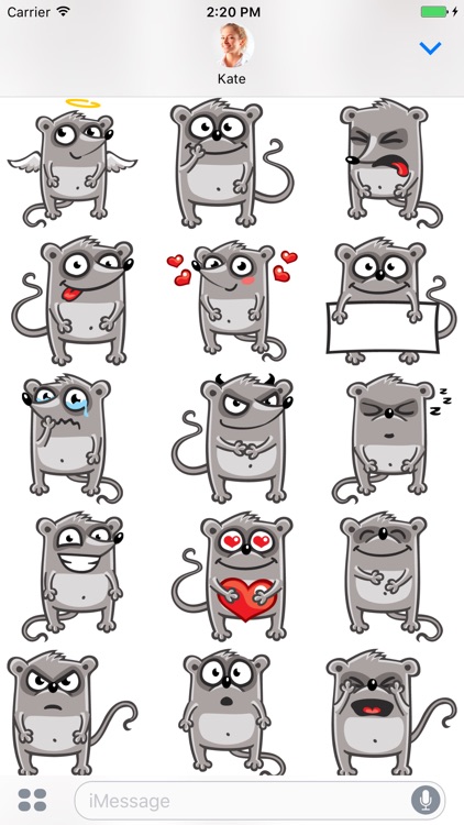 Funny mouse stickers for iMessage