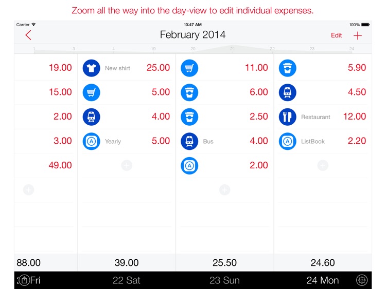 Next for iPad - Expenses