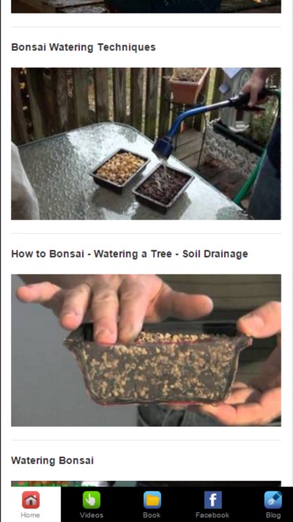 Bonsai Basics - Learn All About Growing Bonsai Trees