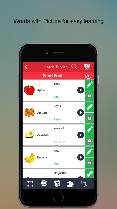 Screenshot #2 pour Learn Turkish SMART Guide