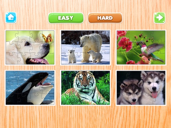 Screenshot #6 pour Animaux Puzzle pour Adultes Scie sauteuse Jeu