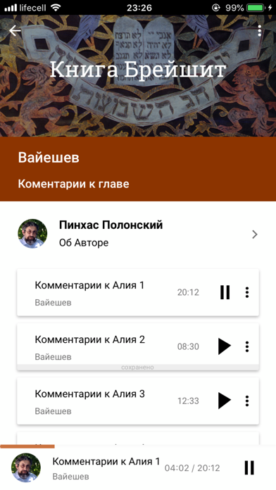 АудиоТора - Недельная Глава iPhone screenshot 7 - Book app