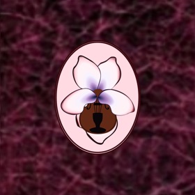 Note Navigator: Viola