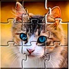 Jigsaw Puzzles Collections icon