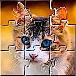 Jigsaw Puzzles Collections