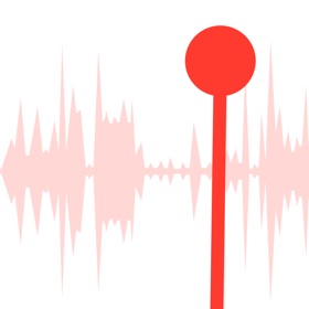 Call Recorder: Phone Calls App