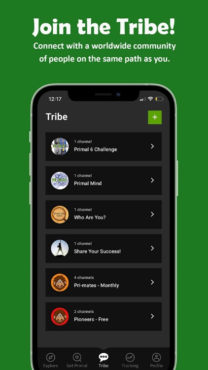 Primal 6 screenshot-3