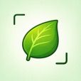 植物识别 – Anyplant