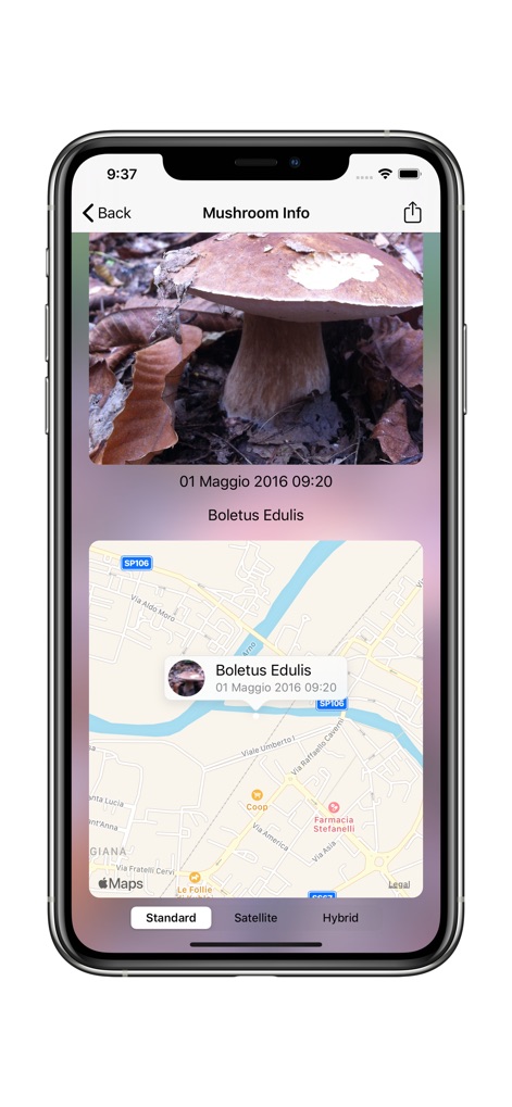Track My Mushrooms - Sports App | MWM