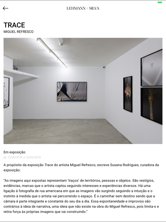 Screenshot #4 pour Lehmann Gallery