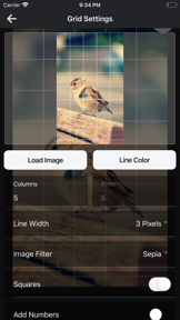 DrawinGrid screenshot
