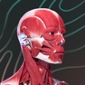 Get Easy Anatomy 3D for iOS, iPhone, iPad Aso Report