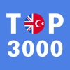 Most Common Turkish Words icon