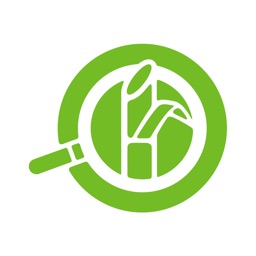 Cengicaña