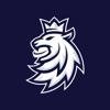 Český hokej icon