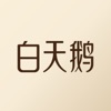 白天鹅