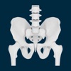 Anasalva X-Rays icon