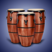 Real Percussion: kit drum pads