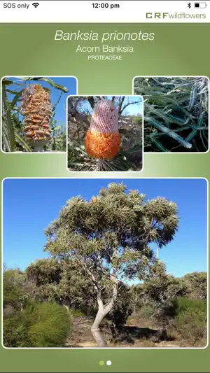 CRFwildflowers screenshot 3