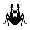Grasshopper Board icon