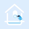 HiBirds icon