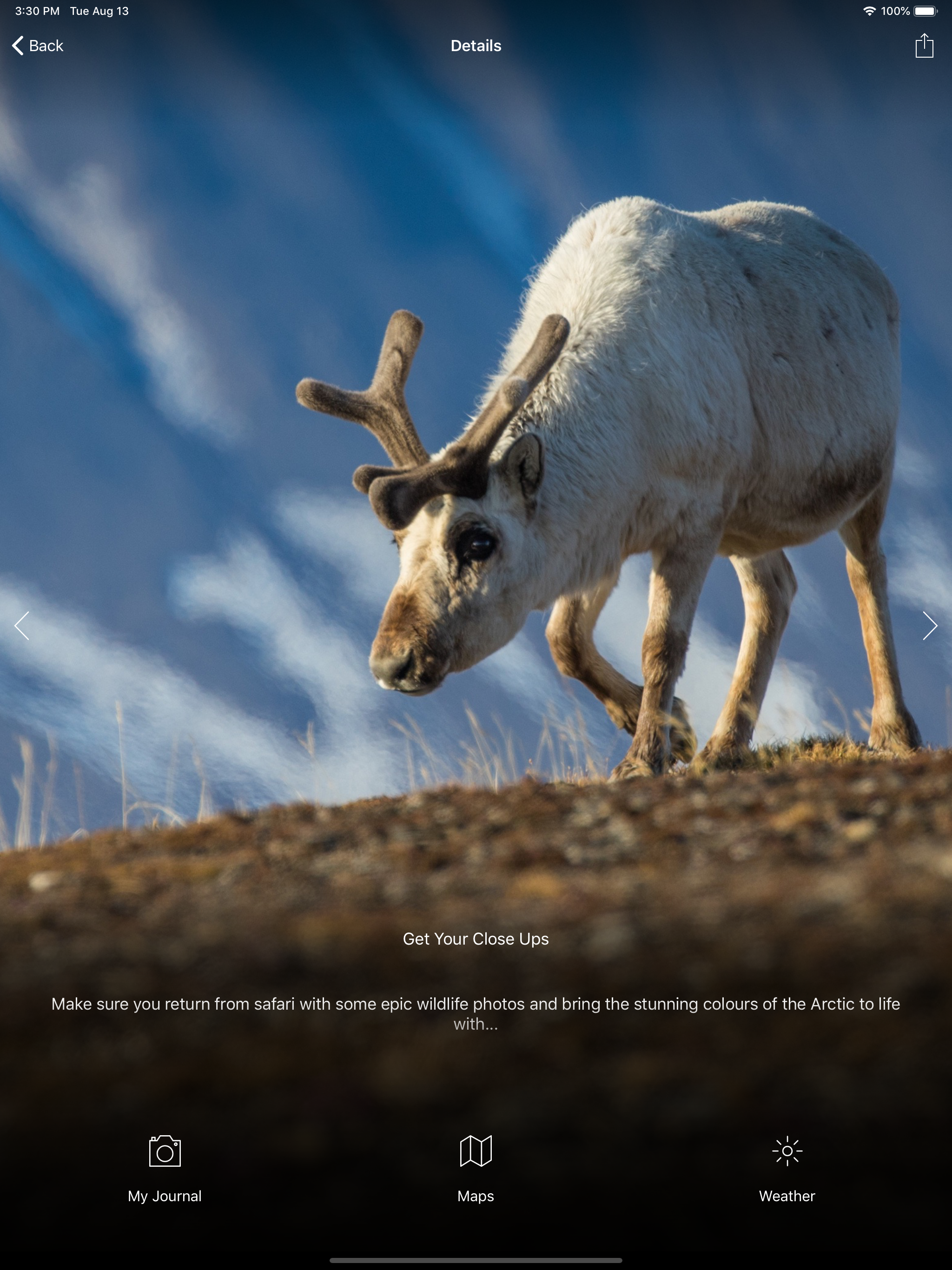 Natural World Safaris