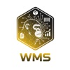 APE Wms icon