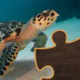 Aquatic - App-Symbol