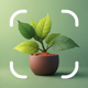 PlantPro: Identifier & Disease