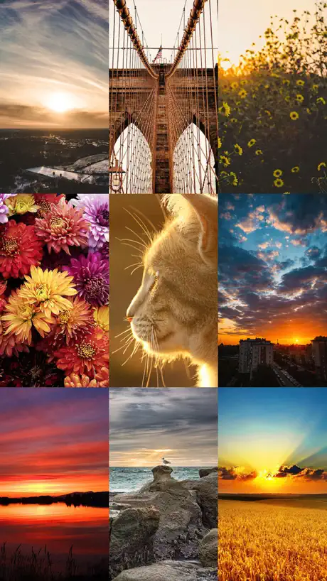 Beautiful 4K/HDR Wallpapers