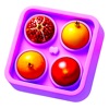 Fruit Block Sort Puzzle Jam icon