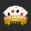 Gin Rummy Card Game Dark icon