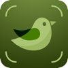 Bird Song Identifier Guide - Turgay Saba