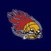 PALLACANESTRO SCANDIANO icon