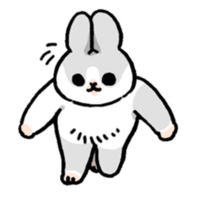 Machiko the rabbit