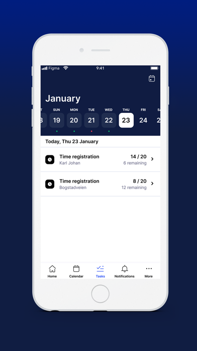 SameSystem Screenshot