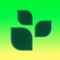 Lifesum: AI Calorie Counter