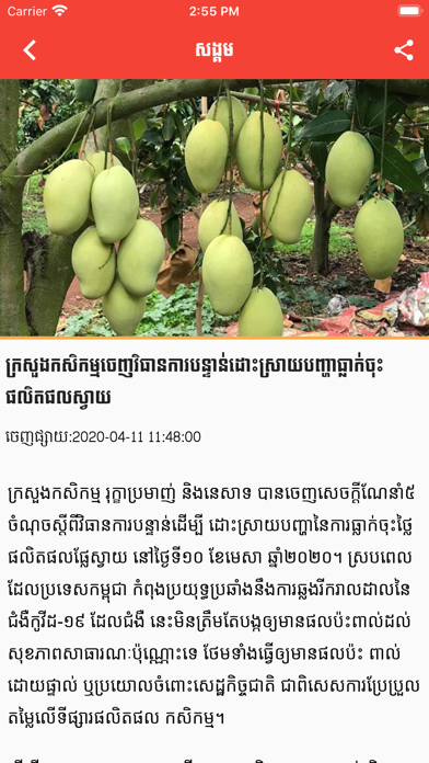 VAYO FM Radio iPhone screenshot 5 - News app