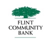 Flint Business Deposit icon