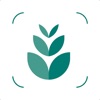 Plant identifier care guide icon
