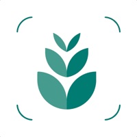 Plant identifier care guide logo