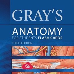 Gray's Anatomy Audio Hot Spots