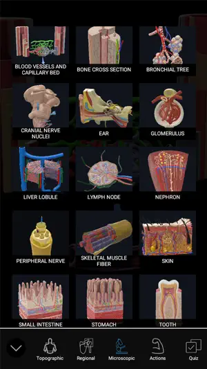 3D Organon screenshot 2