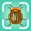 Insect Bug Identifier AI App icon