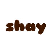 shay's reflections