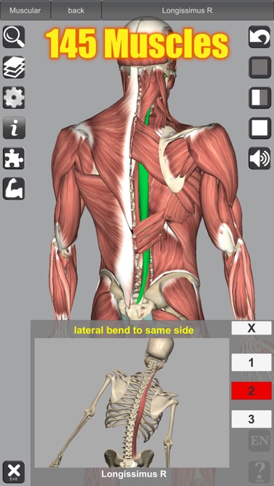 3D Anatomy Screenshot