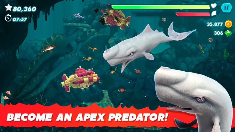 Hungry Shark Evolution