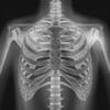X Ray - Complete Anatomy Atlas - European Apps Solutions